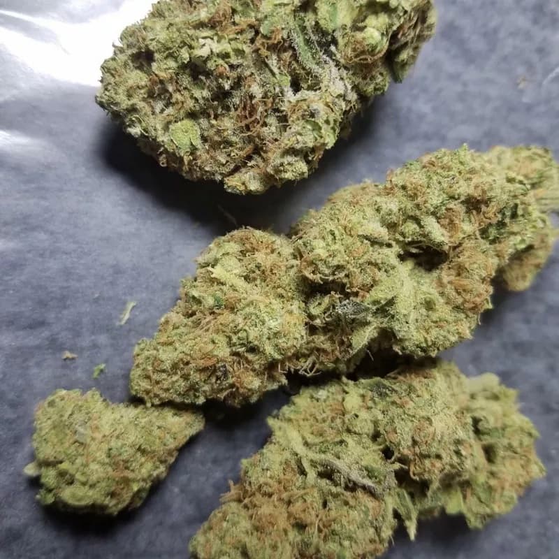 Jilly Bean